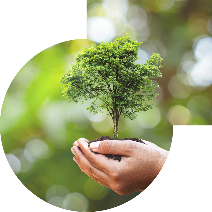 关怀人类、文化、环境与社会